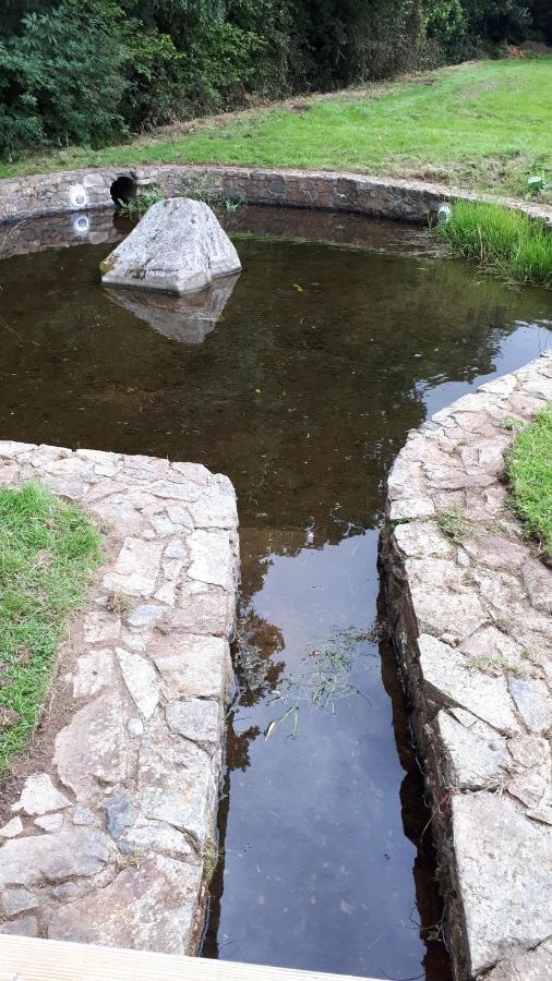 راثدروم Birchdale House B&B المظهر الخارجي الصورة
